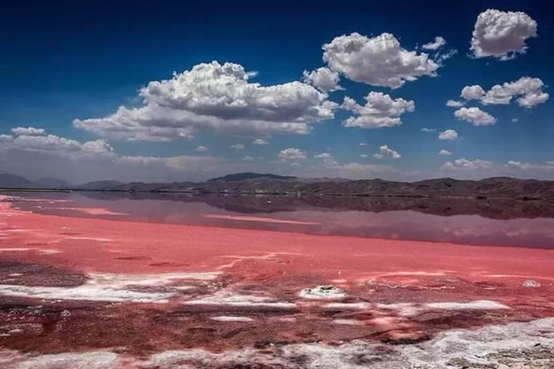 گردشگری فارس