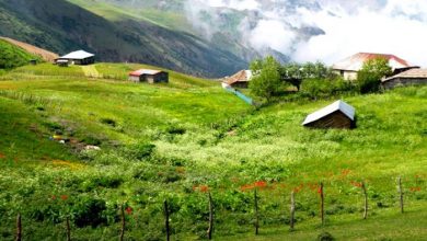 تورهای طبیعت گردی