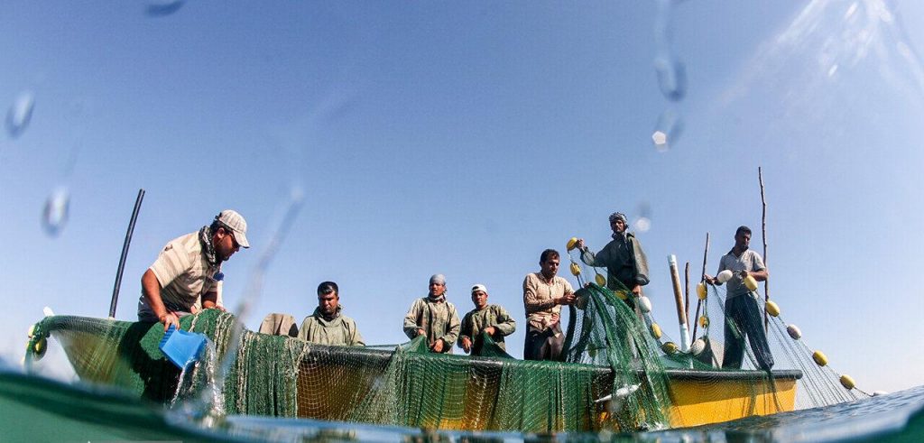 صید میشماهی