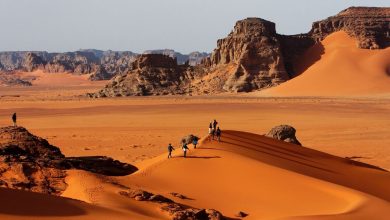 روستای شفیع‌آباد
