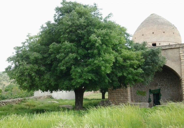 بقعه شجاع الدین