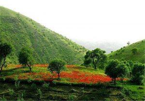 6 مقصد بکر و خنک