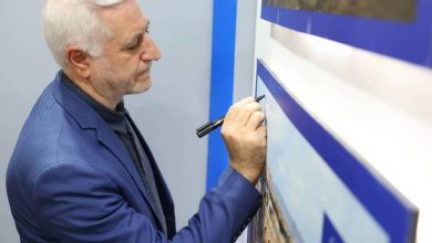 مدیرعامل صندوق توسعه و احیای بناهای تاریخی