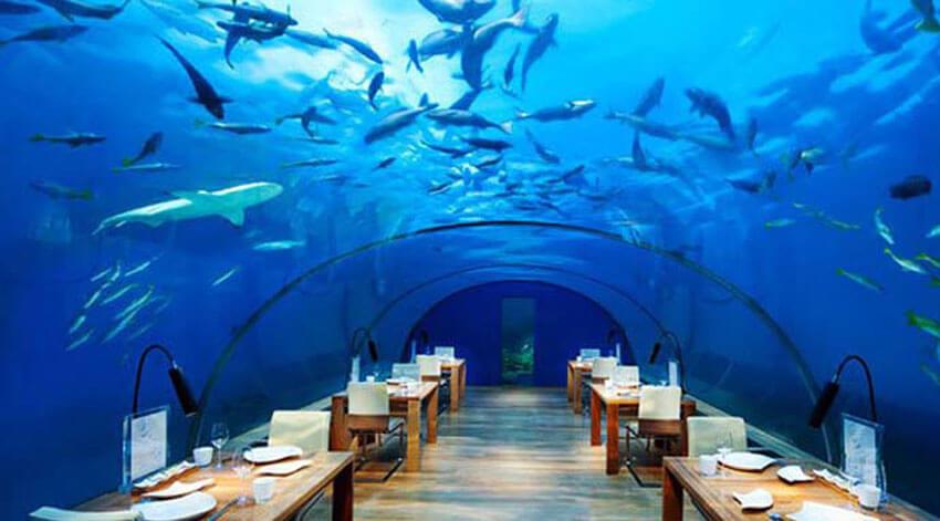 گردشگری کیش