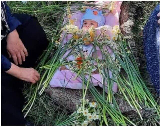 گل غلتان روستای کراده