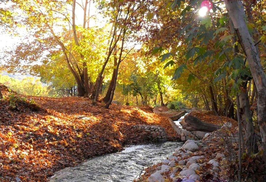 کهگیلویه و بویراحمد