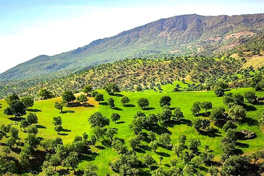 کهگیلویه و بویراحمد