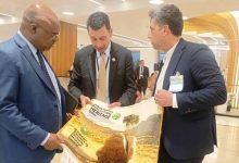 انجیر دیم استهبان