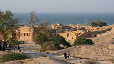 گردشگر کیش، سعدی