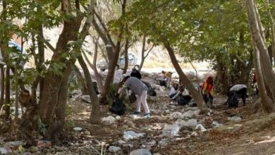 سندرم پاریس