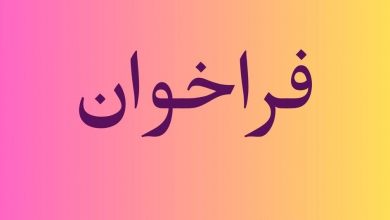 سینمای انیمیشن