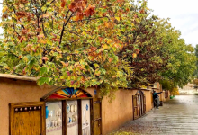 پاییز در کوچه باغ های شیراز