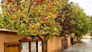 پاییز در کوچه باغ های شیراز