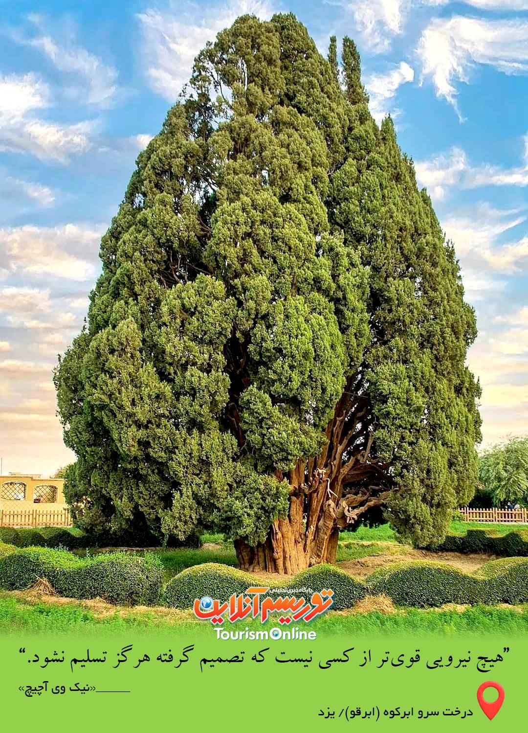 سرو ابرکوه یزد