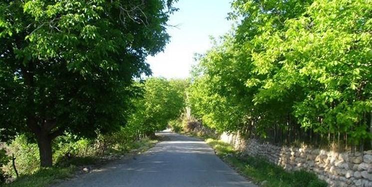 زردآلو آباد