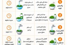شستشوی سبزیجات