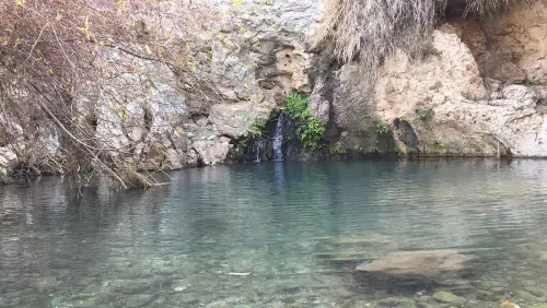 تنگ بنیون