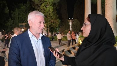 معاون صنایع دستی
